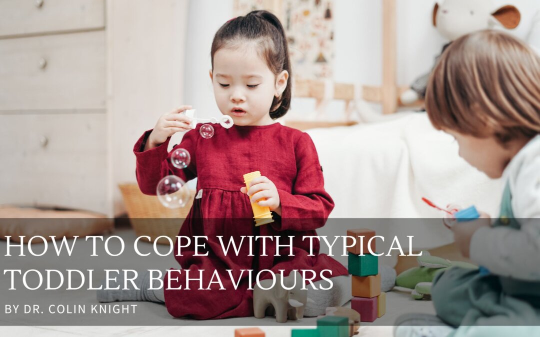 How to cope with Typical Toddler Behaviours